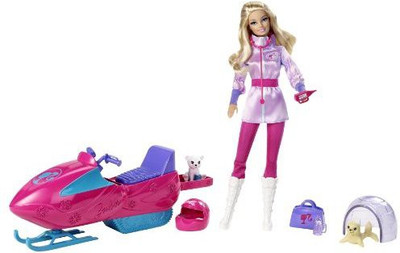 

Barbie I Can Be Arctic Rescuer Playset(Multicolor)