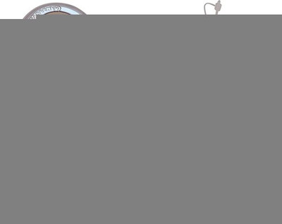 

Maestro Steel Glossy Door levers(Steel)