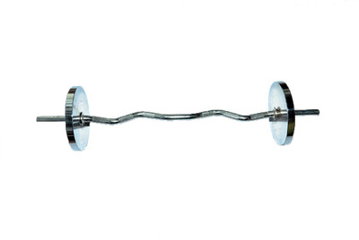 

Royal 3ft Curved Rod With 6 Kg Silver Plates Fixed Weight Dumbbell(6 kg)