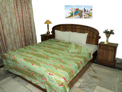 

Amita Home Furnishing Queen Cotton Duvet Cover(Green)