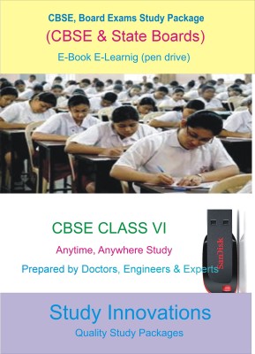 Study Innovations CBSE class VI Study Material(Pendrive)