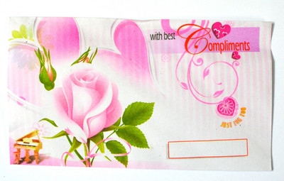 

Pin to Pen Envelopes(Pack of 25 Multicolor)