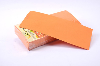 

Enwraps Premium 80GSM 9 x 4(inch) Envelopes(Pack of 100 Brown)