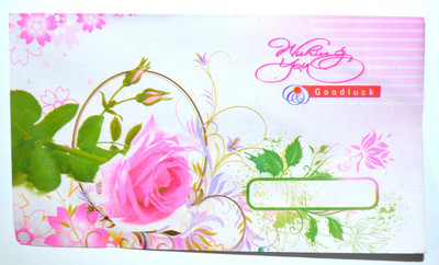 

Pin to Pen Envelopes(Pack of 25 Multicolor)