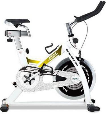 

BH Fitness H915 Upright Stationary Exercise Bike(Black, White)