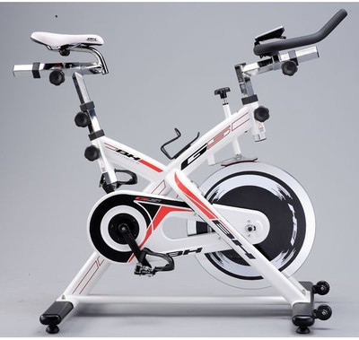 

BH Fitness HA900FT Upright Stationary Exercise Bike(White, Black)