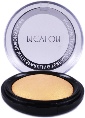 

Meylon Paris Terecotta Eyeshadow 5 g(Gold)