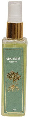 

Roots and Above Citrus Mint Face Wash(100 ml)