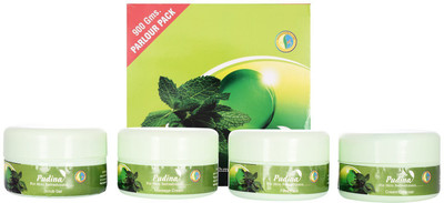

Nandini Pudina Facial Kit 900 g(Set of 4)