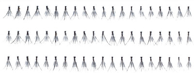 

PAC PAC_EYE L_FLARE1(Pack of 1)