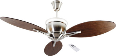 

Havells Florina 3 Blade Ceiling Fan(Brushed Nickel, Pack of 1), Brown