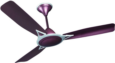 Crompton Aggnus Primus Ceiling Fan Purple