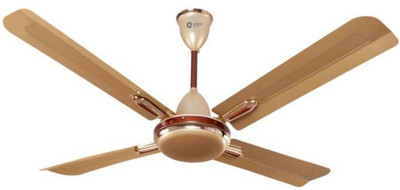 

Orient Quadro Ornamental 4 Blade Ceiling Fan(Gold)