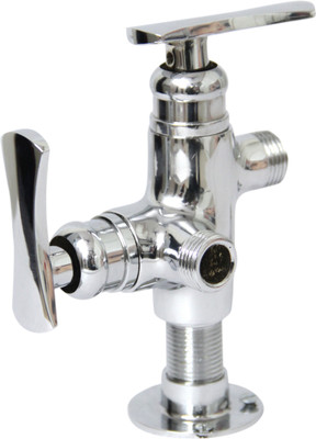 

Sanitario 2IN1AC-MACHLI Fish Angle Cock Faucet(Wall Mount Installation Type)