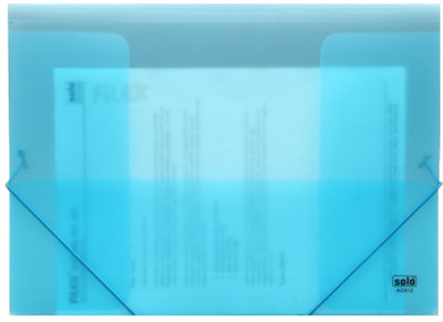 

Solo Document Case(Set Of 2, Frosted Blue)