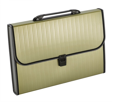 

Trio MET12FHL PP Expanding Handle Lock File 13 Pockets FC(Set Of 1, Green)