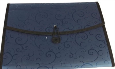 

SIDHIVINAYAK ENTERPRISES Plastic cover Display file(Set Of 1, Multicolor)