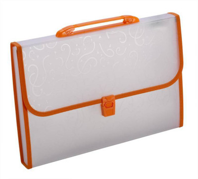 

Chrome PP Expanding Handle Lock File(Set Of 1, Orange)