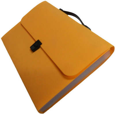 

Y.E.S Polypropelene Coloured Partition Expanding File(Set Of 1, Orange)