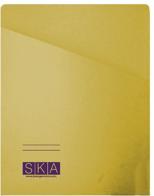 SKA Paper Magazine Folder(Set Of 20, Yellow)