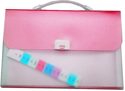 

hide and sleek Polypropylene File(Set Of 1, Pink)