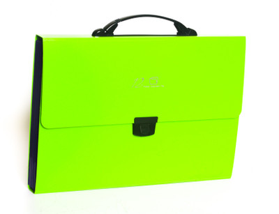 

Chrome Files & Folders Plastic Expanding File(Set Of 1, Green)