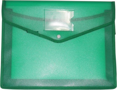 

Lucky plastic polypropylene Button FIle(Set Of 5, Green)