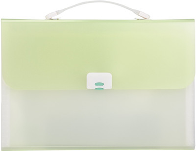 

Priya Exports HC2003 Plastic Expanding Case(Set Of 1, Green)