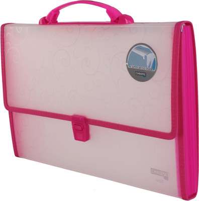 

Chrome PP Expanding Handle Lock File(Set Of 1, Pink)