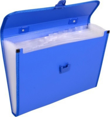 

SIDHIVINAYAK ENTERPRISES Polypropylene, plastic File folder(Set Of 1, Multicolor)