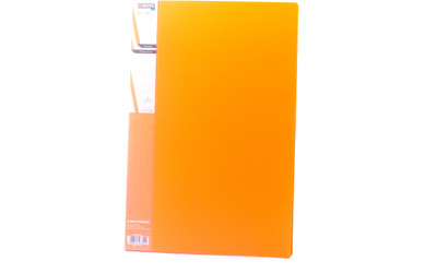 

Chrome Files & Folders Plastic Display Book(Set Of 2, Orange)
