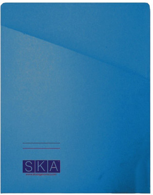 

SKA Paper Magazine Folder(Set Of 20, Blue)