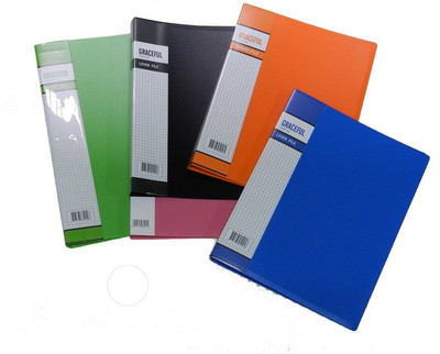 

Y.E.S Executive Series Polypropelene Clip Files(Set Of 5, Multicolor)