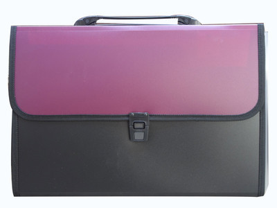 31% OFF on Chipo Super Polypropylene Display Book(Set Of 1, Pink) 31% OFF on Chipo Super Polypropylene Display Book(Set Of 1, Pink)