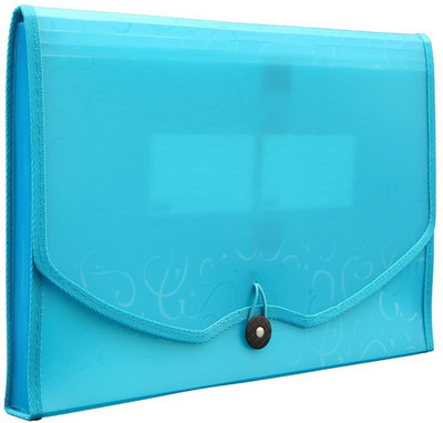 

Solo Executive Polyfiber Expanding Bag(Set Of 1, Blue)