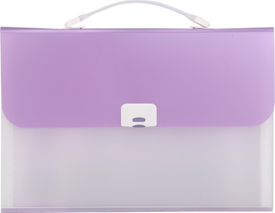 

Priya Exports HC2003 Plastic Expanding Case(Set Of 1, Purple)