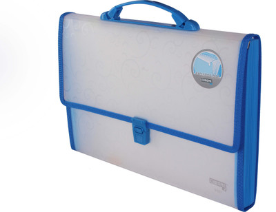 

Chrome PP Expanding Handle Lock File(Set Of 1, Blue)