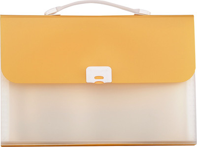 

Priya Exports HC2003 Plastic Expanding Case(Set Of 1, Orange)