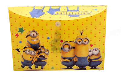 Funcart Plastic Display Book(Set Of 1, Mutlicolor)
