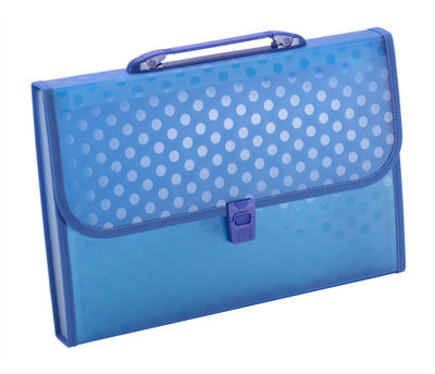 

Trio ED12FHL Polypropylene Expanding Handle Lock File 13 Pockets FC(Set Of 1, Blue)