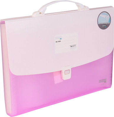

Chrome PP Expanding Handle Lock File(Set Of 1, Pink//White)