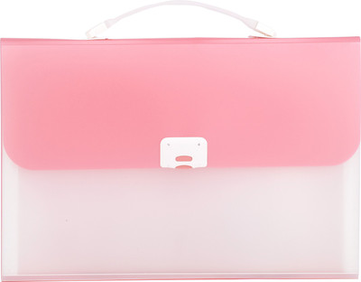 

Priya Exports HC2003 Plastic Expanding Case(Set Of 1, Pink)