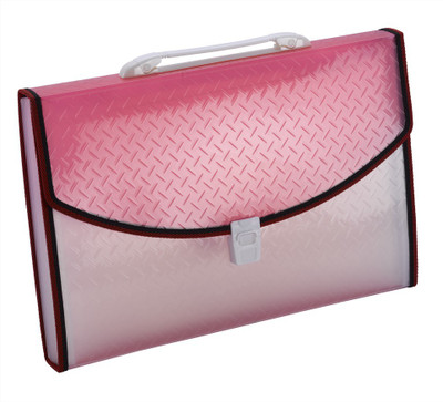 

Trio ET12FHL PP Expanding Handle Lock File 13 Pockets FC(Set Of 1, Pink)