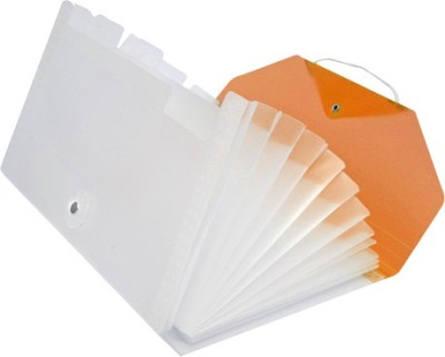 

Easyhome 12 Pocket Chequebook Size Orange Plastic organiser(Set Of 1, Orange)