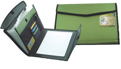 Solo Conference File(Set Of 1, Green)