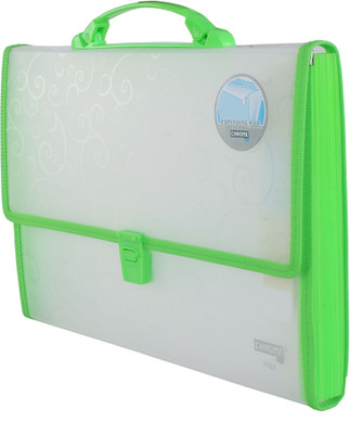 

Chrome PP Expanding Handle Lock File(Set Of 1, Green)