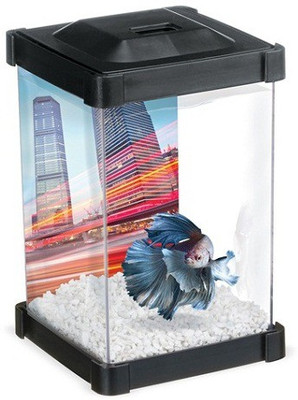 

Hagen 1.25 L Fish Bowl