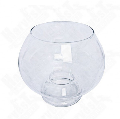 

Aquapetzworld 8 L Fish Bowl