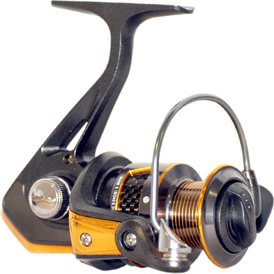 

Kiehberg 2000(Spin)