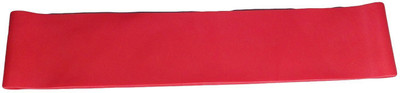 

Propitup PIUTP021 Resistance Band(Red, Pack of 1)